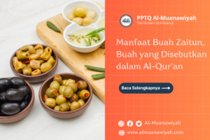 Manfaat Buah Zaitun, Buah yang Disebutkan dalam Al-Qur’an