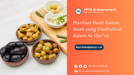 Manfaat Buah Zaitun, Buah yang Disebutkan dalam Al-Qur’an