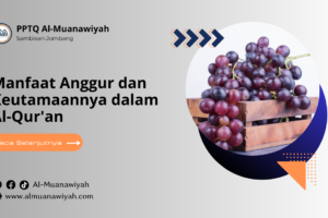 Manfaat Anggur dan Keutamaannya dalam Al-Qur’an