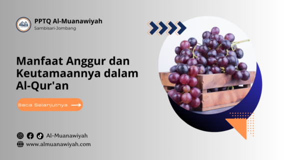 Manfaat Anggur dan Keutamaannya dalam Al-Qur’an