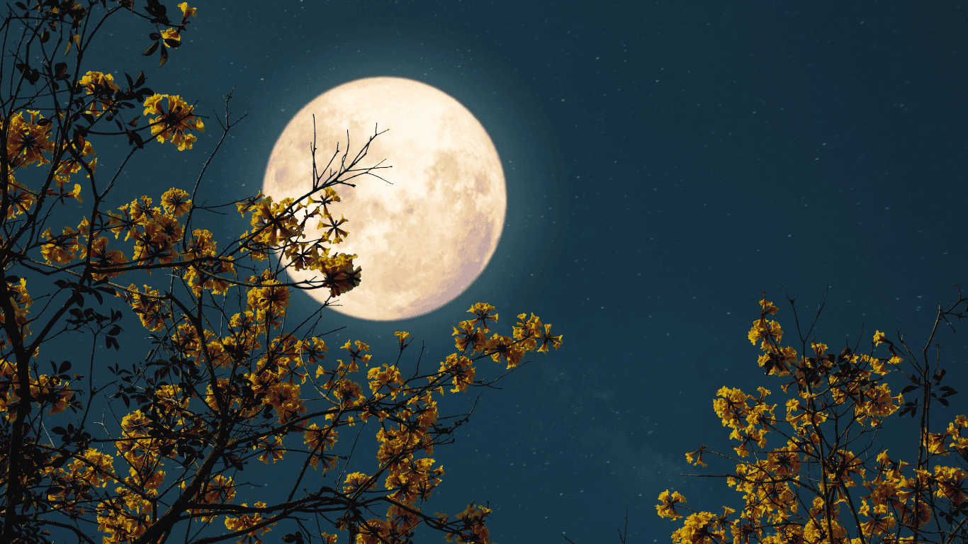 puasa ayyamul bidh, bulan purnama penuh yang menggambarkan puasa 3 hari di tengah bulan