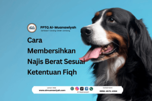 Cara Membersihkan Najis Berat Sesuai Ketentuan Fiqh