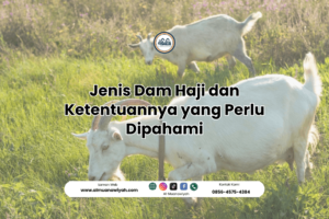 Jenis Dam Haji dan Ketentuannya yang Perlu Dipahami