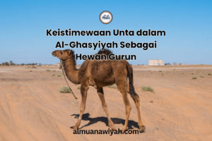 Keistimewaan Unta dalam Al-Ghasyiyah Sebagai Hewan Gurun