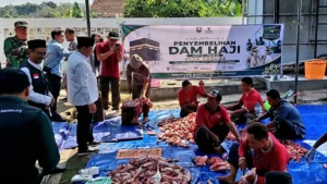 penyembelihan jenis dam haji oleh BAZNAS Semarang